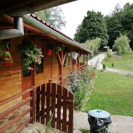 Pensiunea La Busu -Bigar Bozovics Kültér fotó