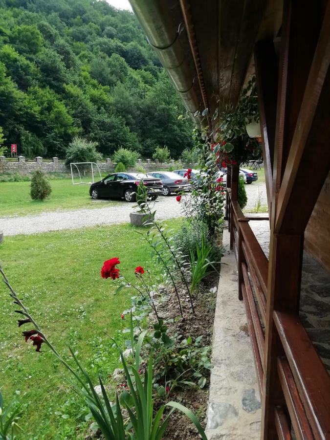 Pensiunea La Busu -Bigar Bozovics Kültér fotó